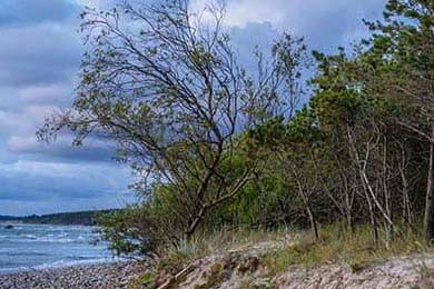 中国女排新任队长首秀惊艳全场，中国女排新任队长首秀惊艳全场是哪一年