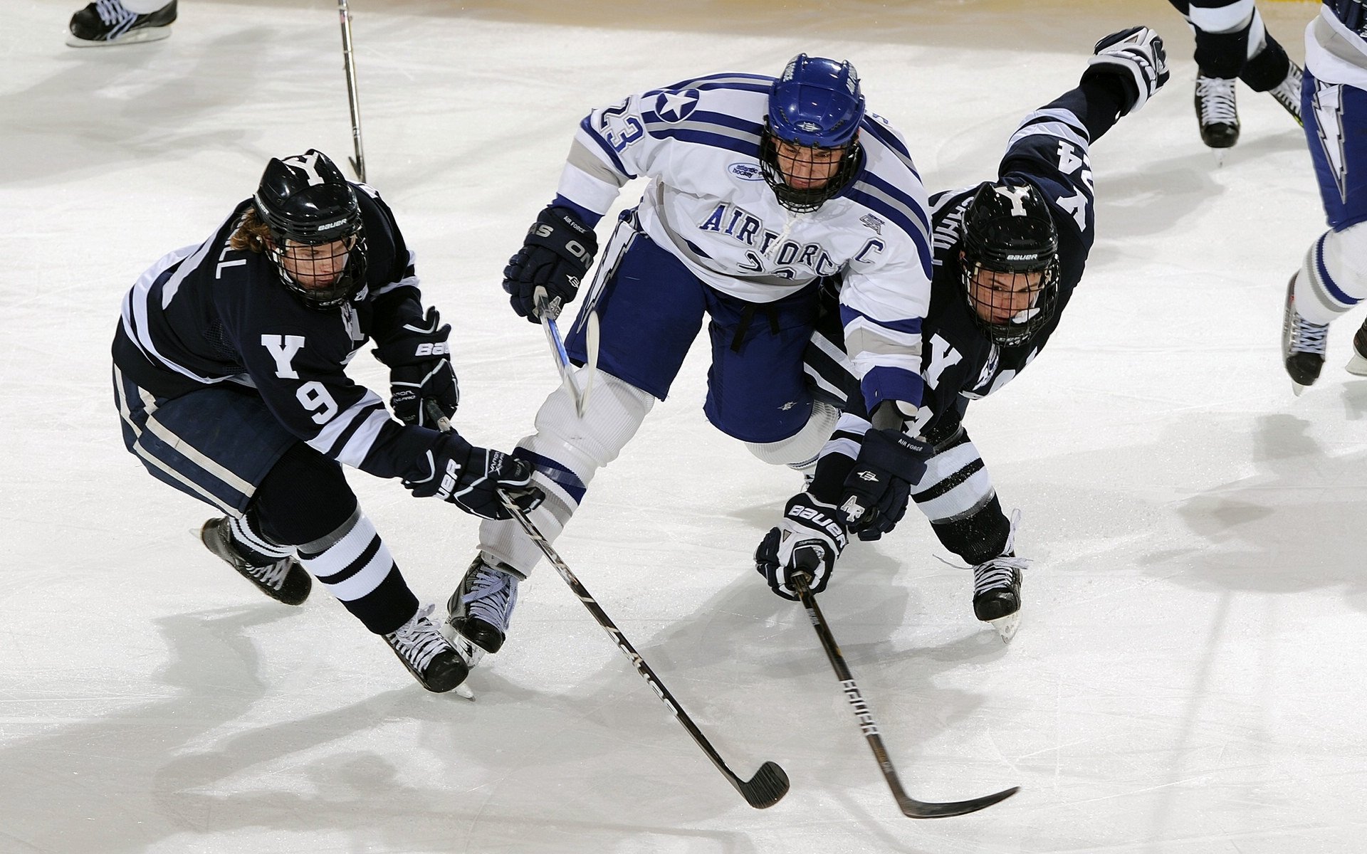 女子橄榄球赞助金额增长显著，女子橄榄球女神